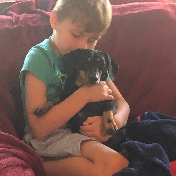 DOG FRIENDLY ENVIRONMENT😂 - Picture 13 of 16